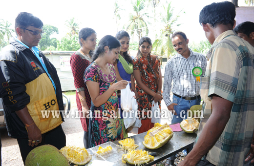 Jackfruit Mela in Mangalore